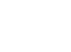 magnific logo
